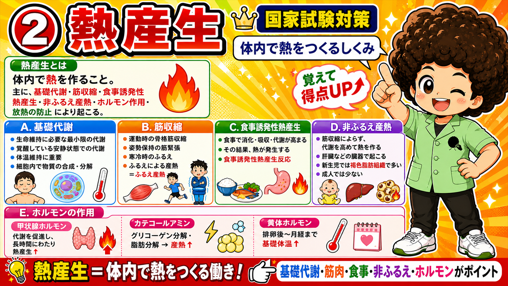 熱産生の5要因：基礎代謝・筋収縮・食事・非ふるえ・ホルモン