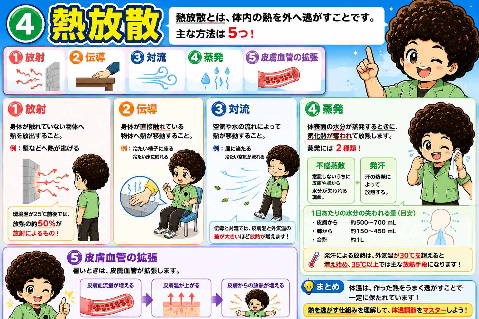 熱放散5方法：放射・伝導・対流・蒸発・皮膚血管の拡張