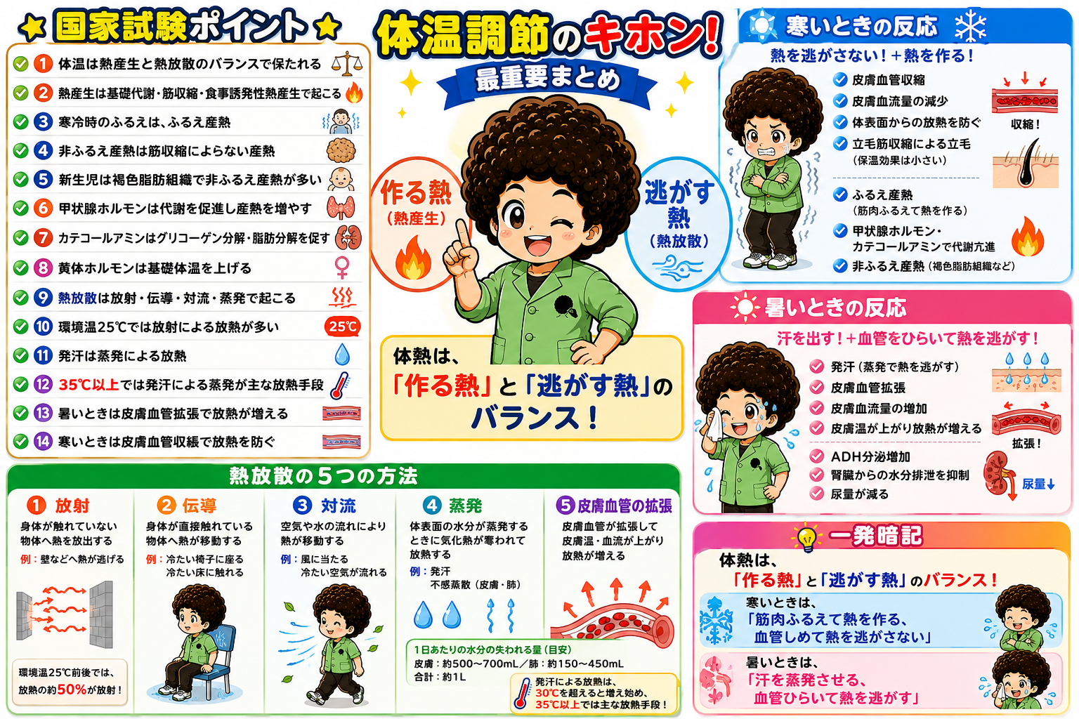 国家試験ポイント：体温調節のキホン・寒暑の反応対比