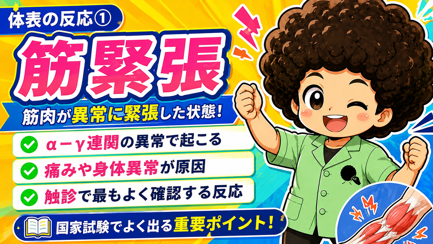 体表の反応｜体表の反応 1