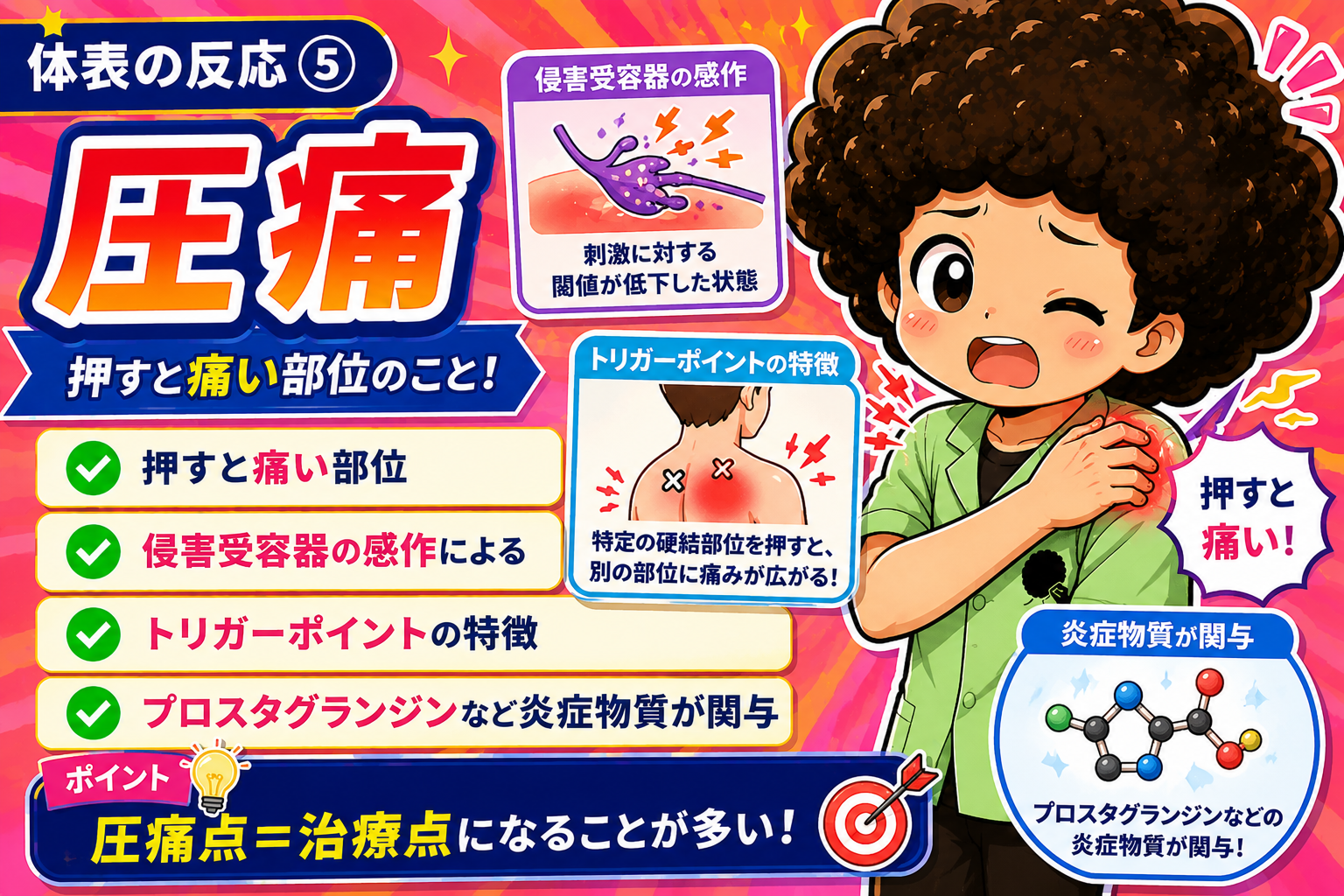 圧痛＝押すと痛い部位。侵害受容器の感作と炎症物質が関与