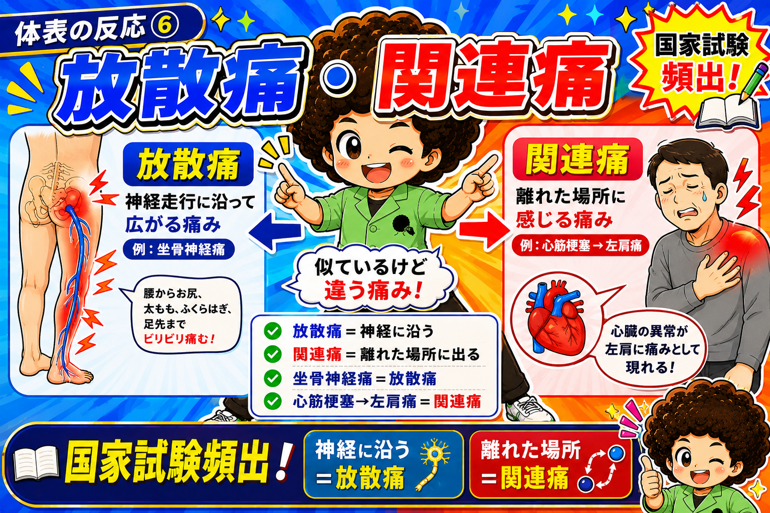 放散痛＝神経に沿う／関連痛＝離れた場所に出る