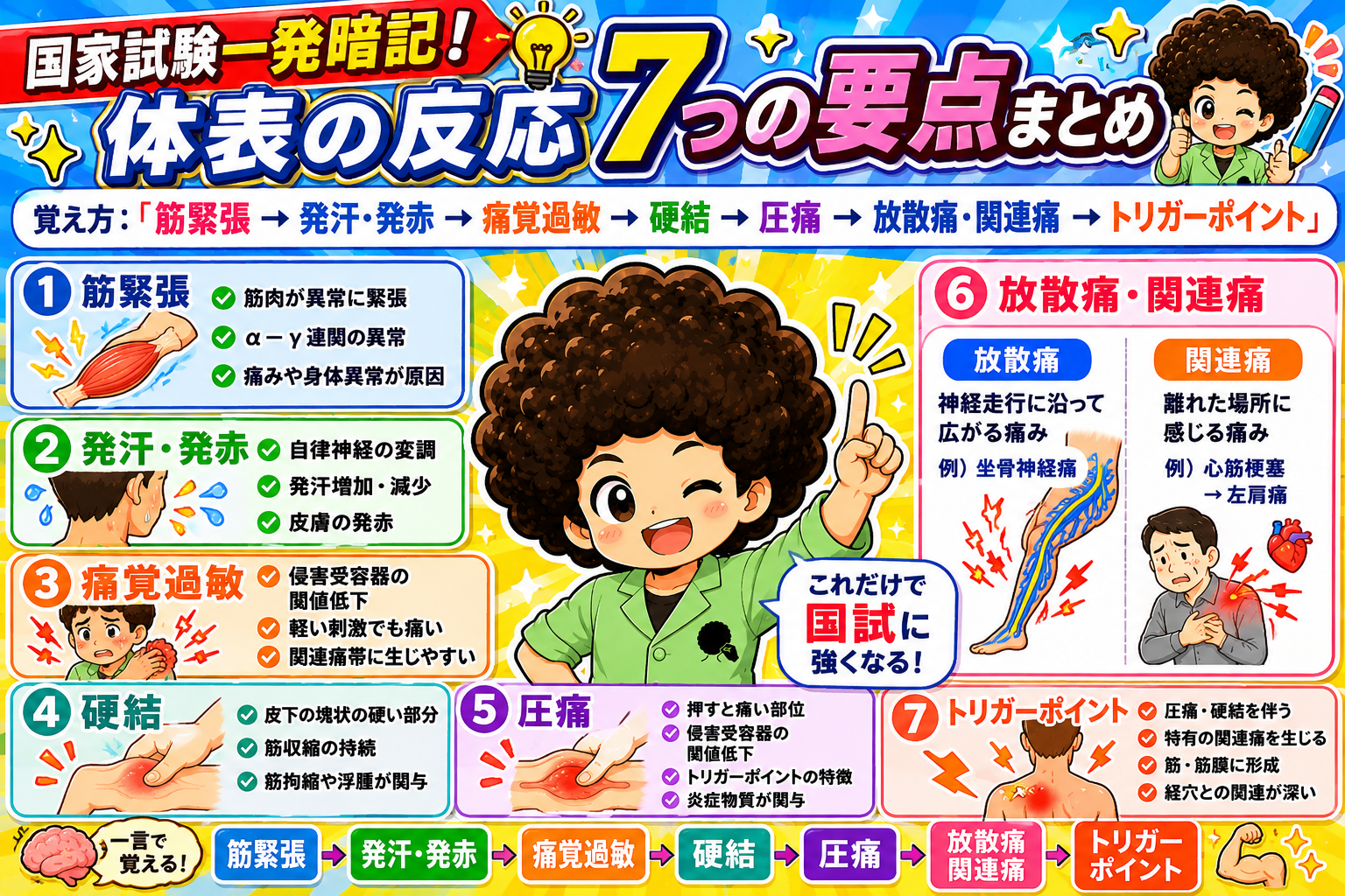 体表の反応7つの要点まとめ（覚える順番）