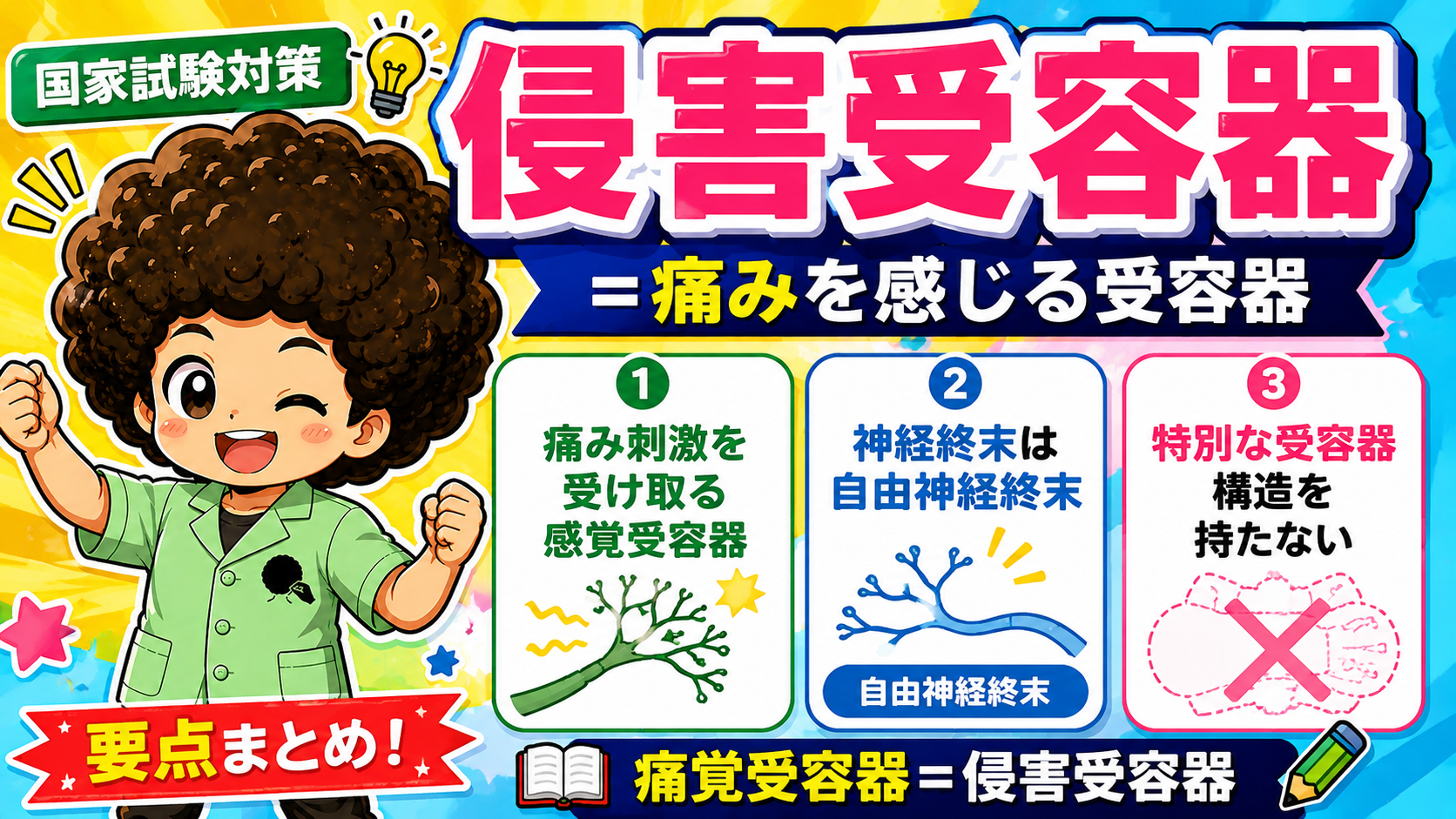 侵害受容器｜侵害受容器 1