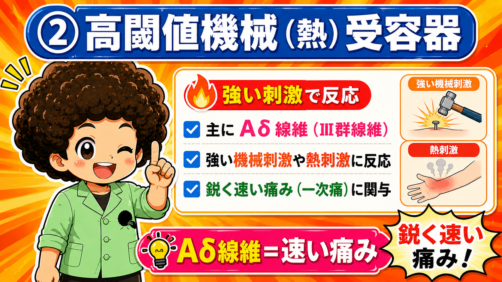 ポリモーダル受容器＝C線維（IV群線維）。機械・温度・化学刺激すべてに反応する