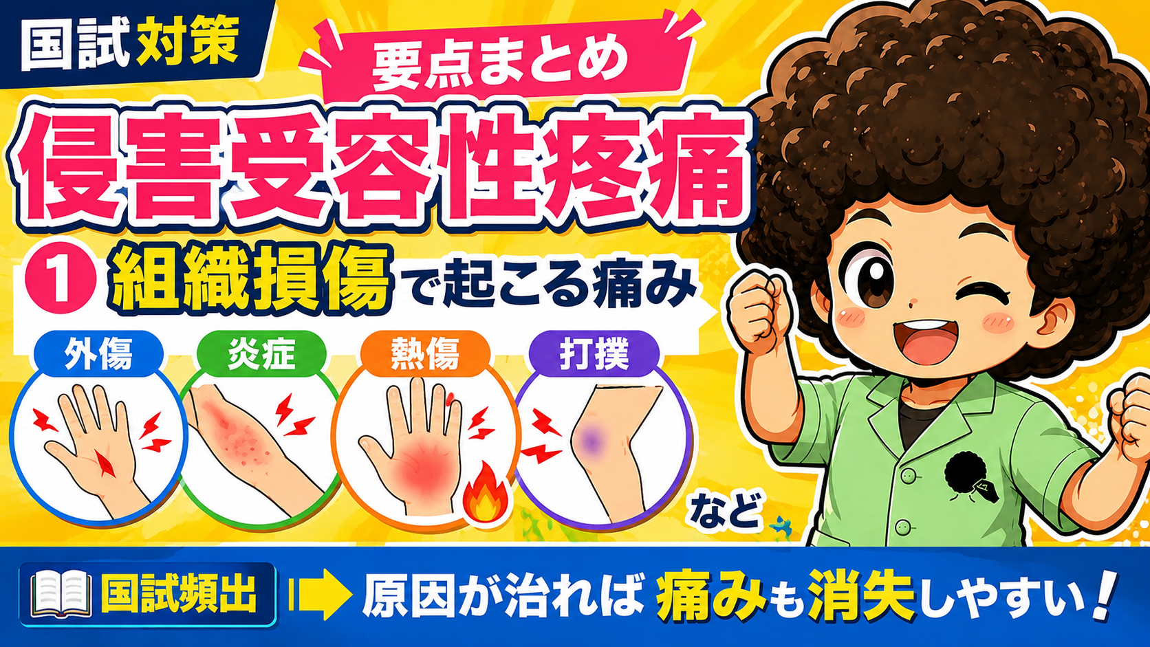 侵害受容性疼痛｜侵害受容性疼痛 1