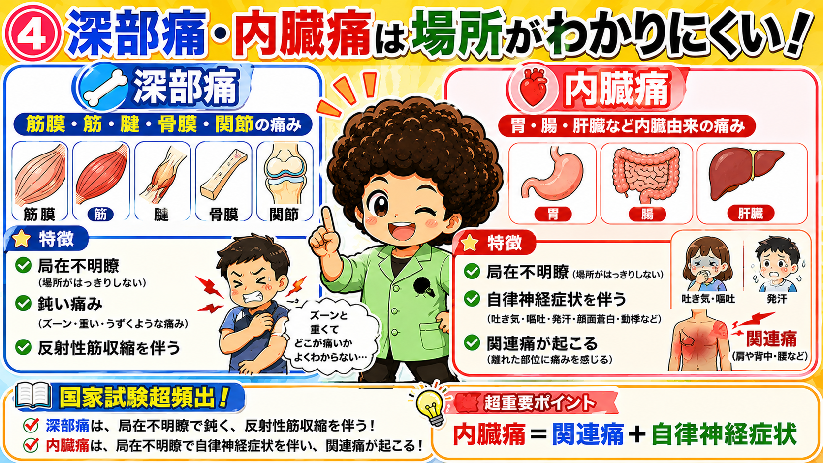 侵害受容性疼痛④：深部痛は反射性筋収縮、内臓痛は関連痛＋自律神経症状