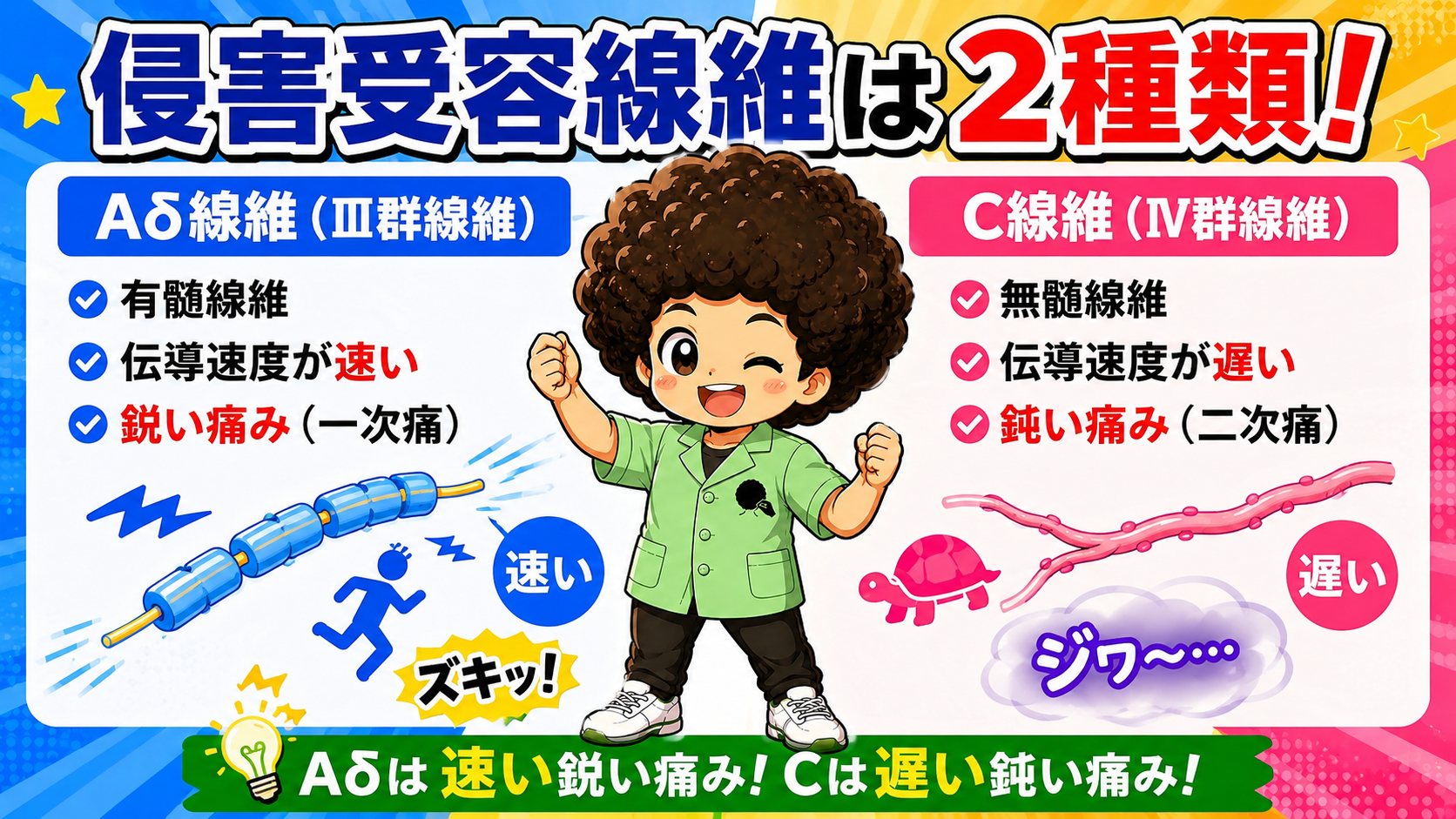 侵害受容線維｜侵害受容線維 1