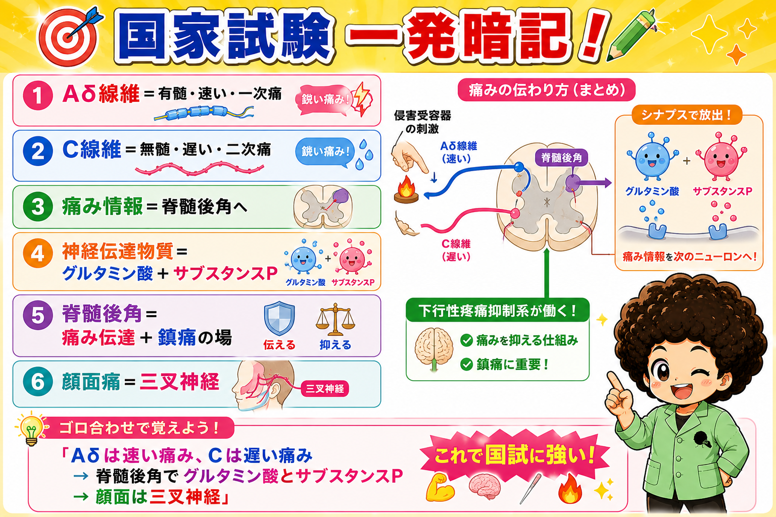 国家試験一発暗記の6ポイント