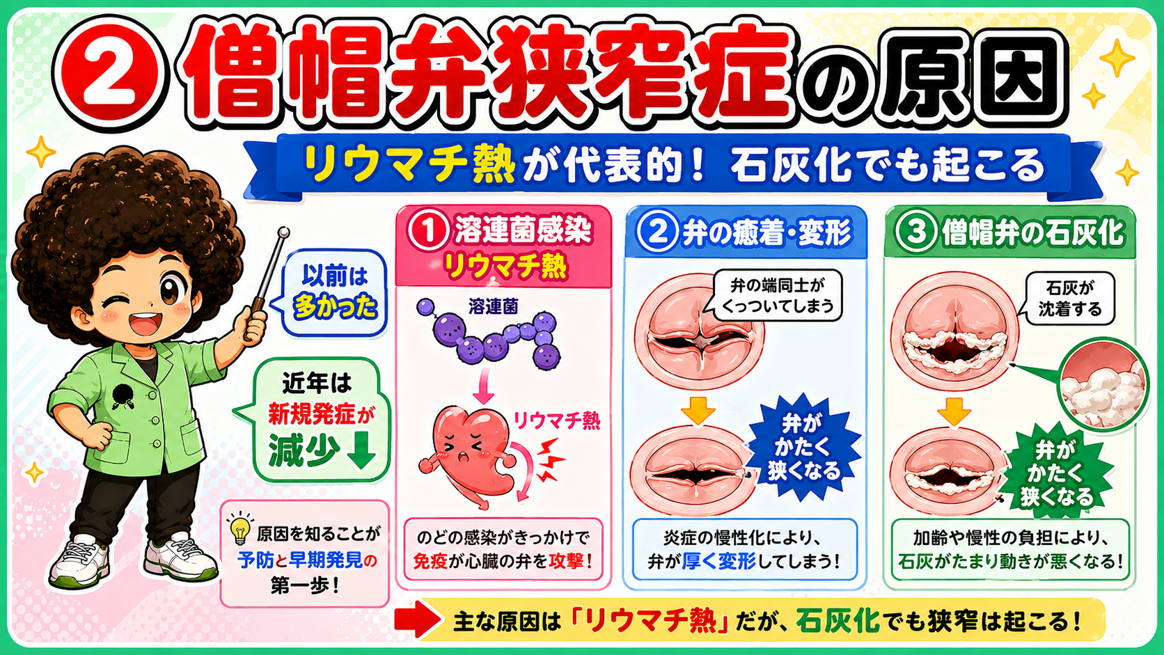 リウマチ熱(溶連菌感染)と弁の石灰化という2つの原因