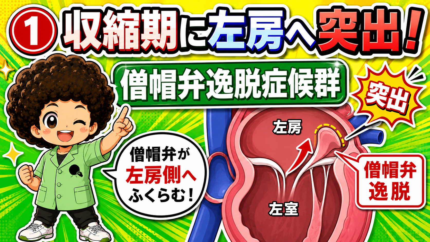 僧帽弁逸脱症候群｜僧帽弁逸脱症候群 1