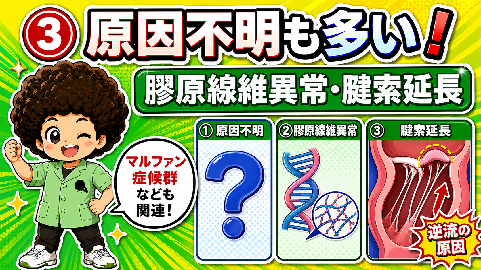 原因不明の例が多いが、膠原線維異常による腱索延長が関与するとされる。マルファン症候群なども関連