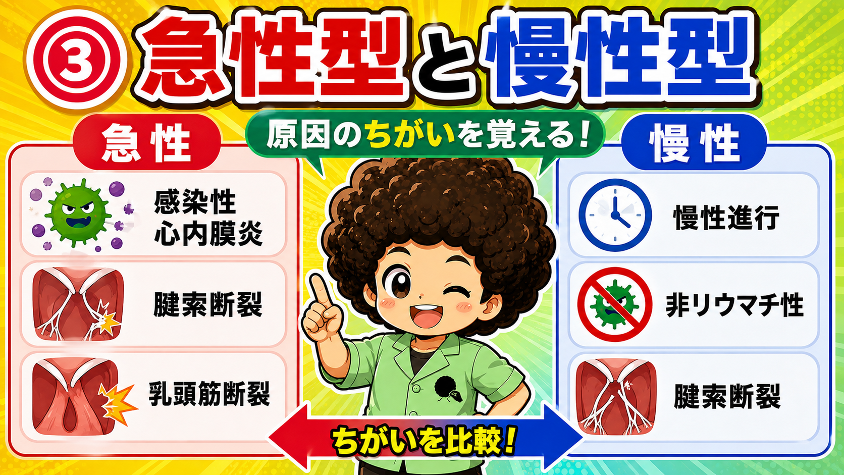 急性型（感染性心内膜炎・腱索断裂・乳頭筋断裂）と慢性型（慢性進行・非リウマチ性・腱索断裂）の原因の違い