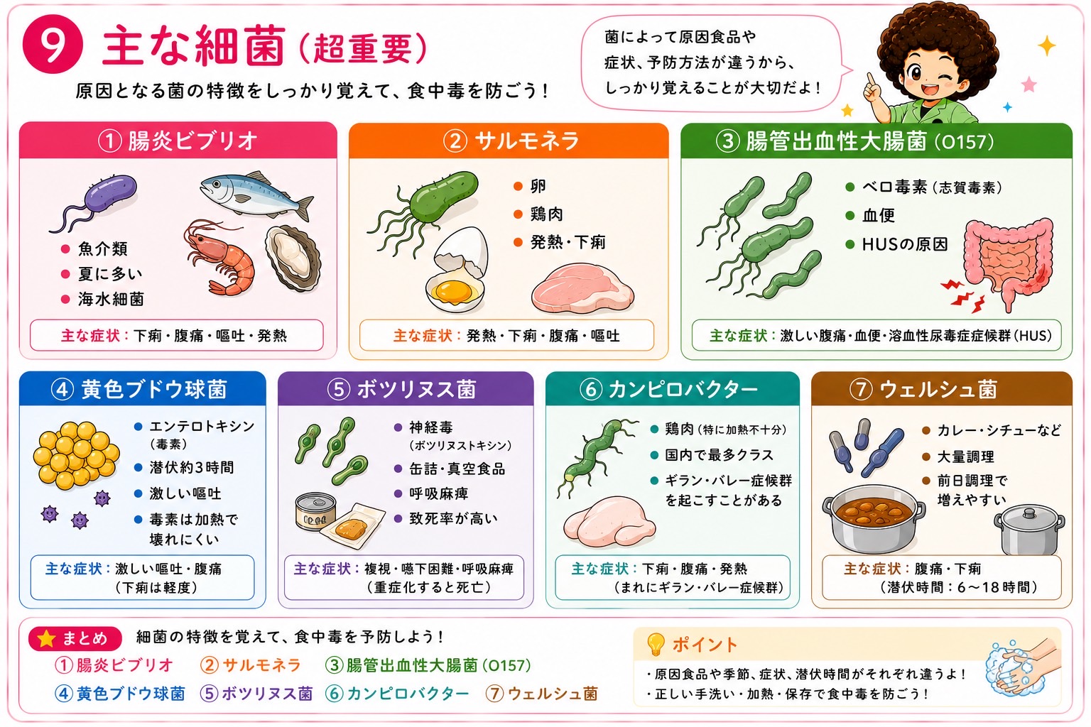 主な細菌性食中毒の原因菌