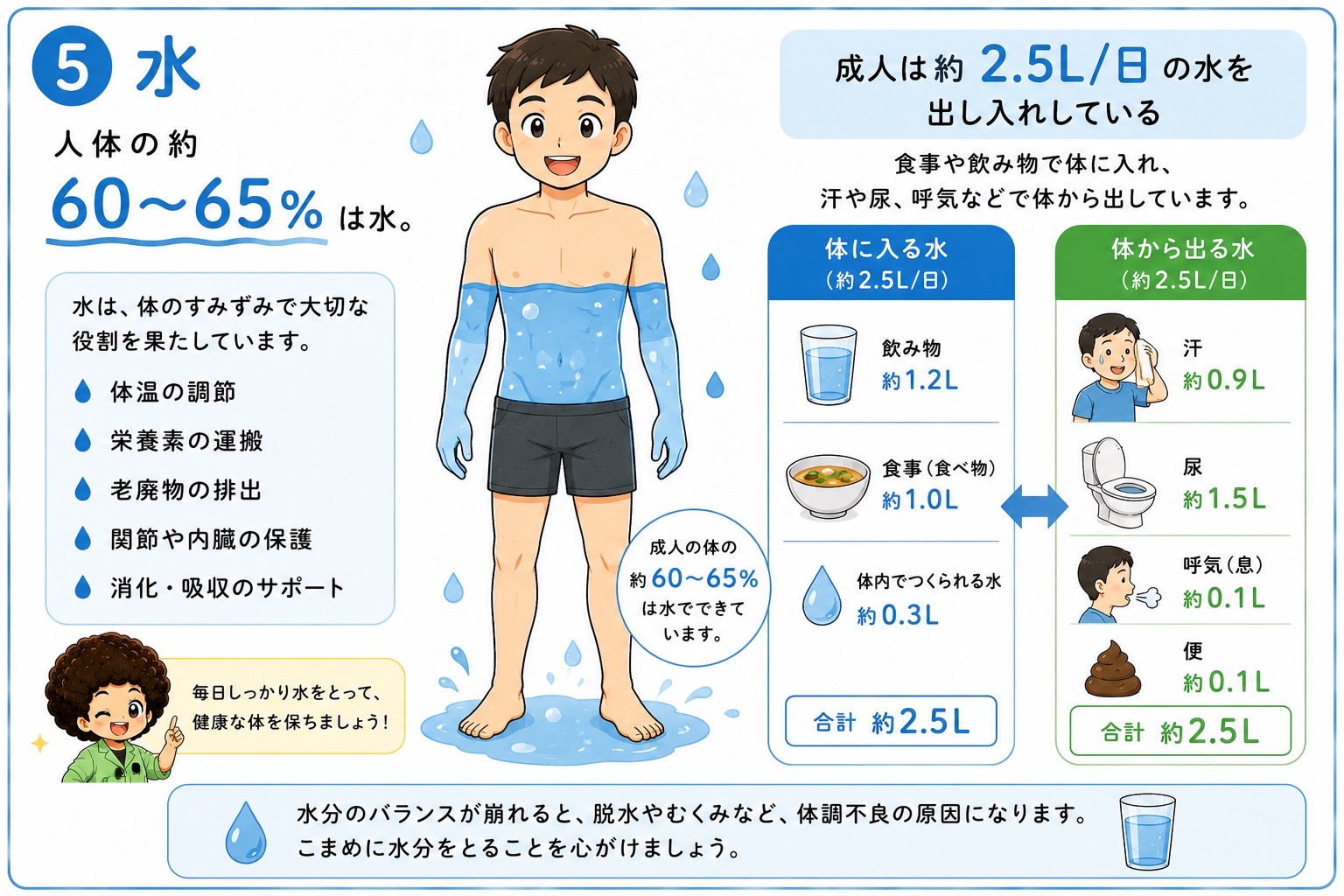成人の1日の水分出納（約2.5L）