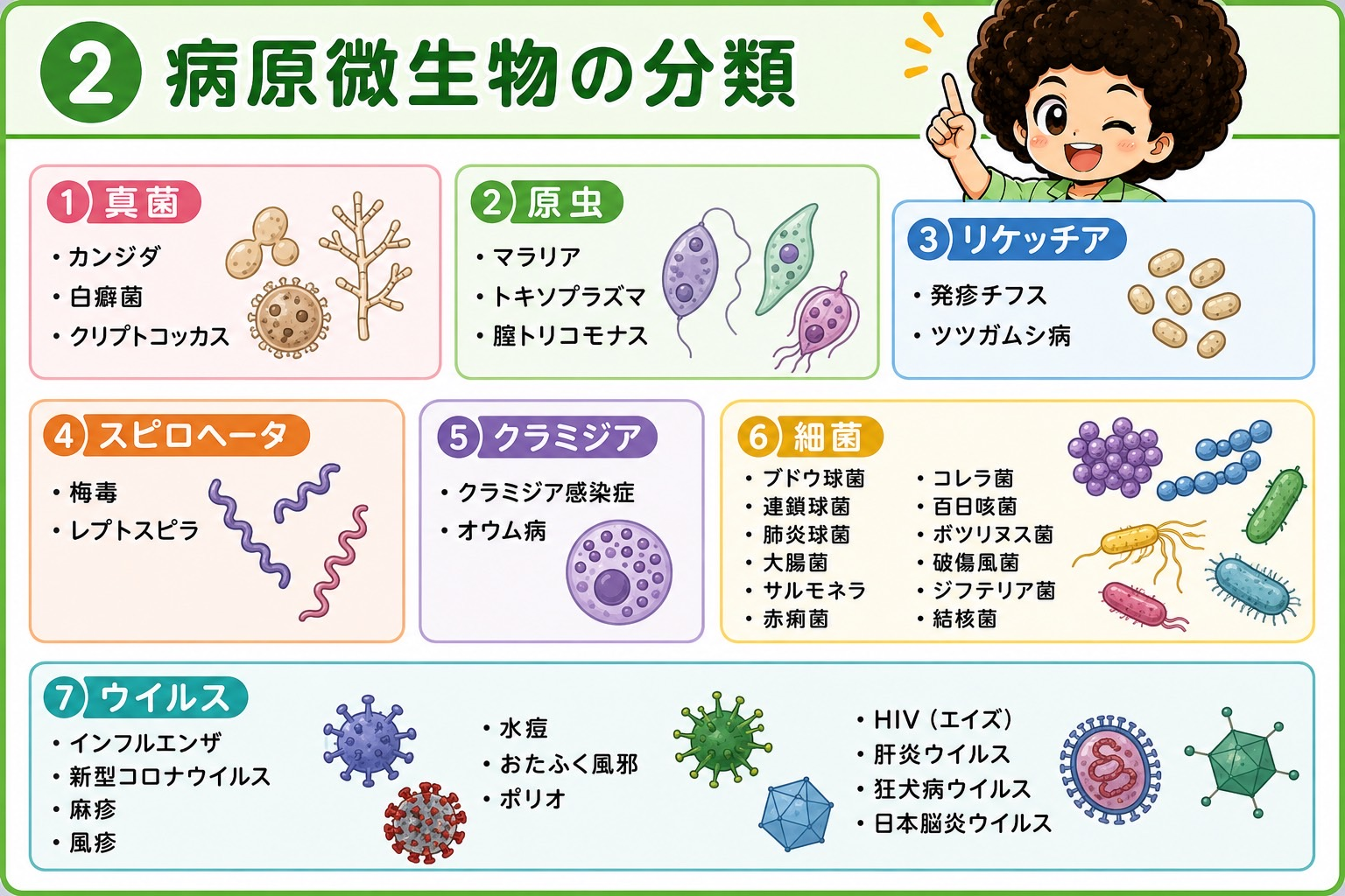 病原微生物の7分類（真菌・原虫・リケッチア・スピロヘータ・クラミジア・細菌・ウイルス）