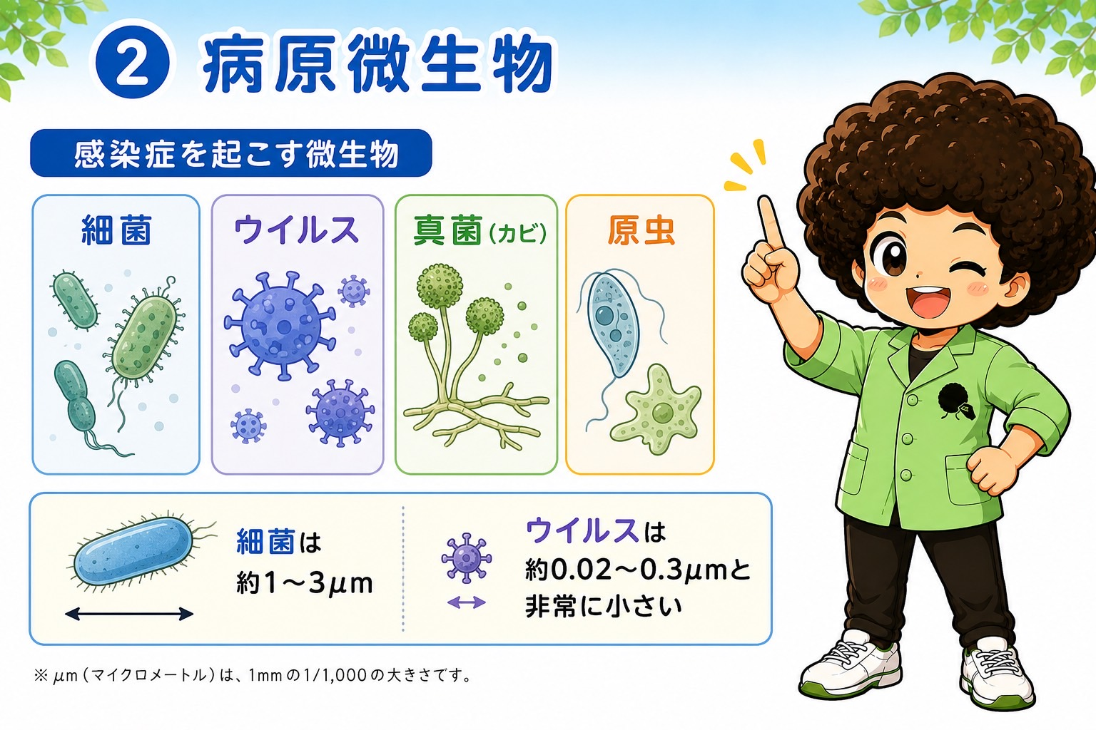 感染症を起こす微生物と、細菌・ウイルスの大きさの比較