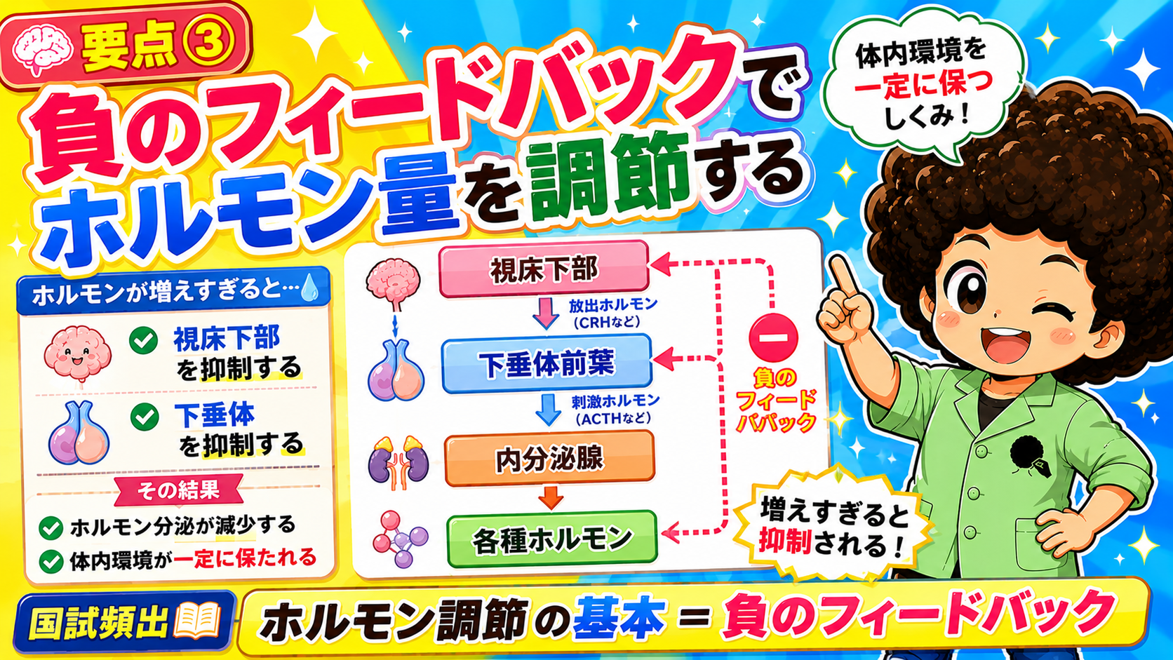 負のフィードバックによるホルモン量の調節