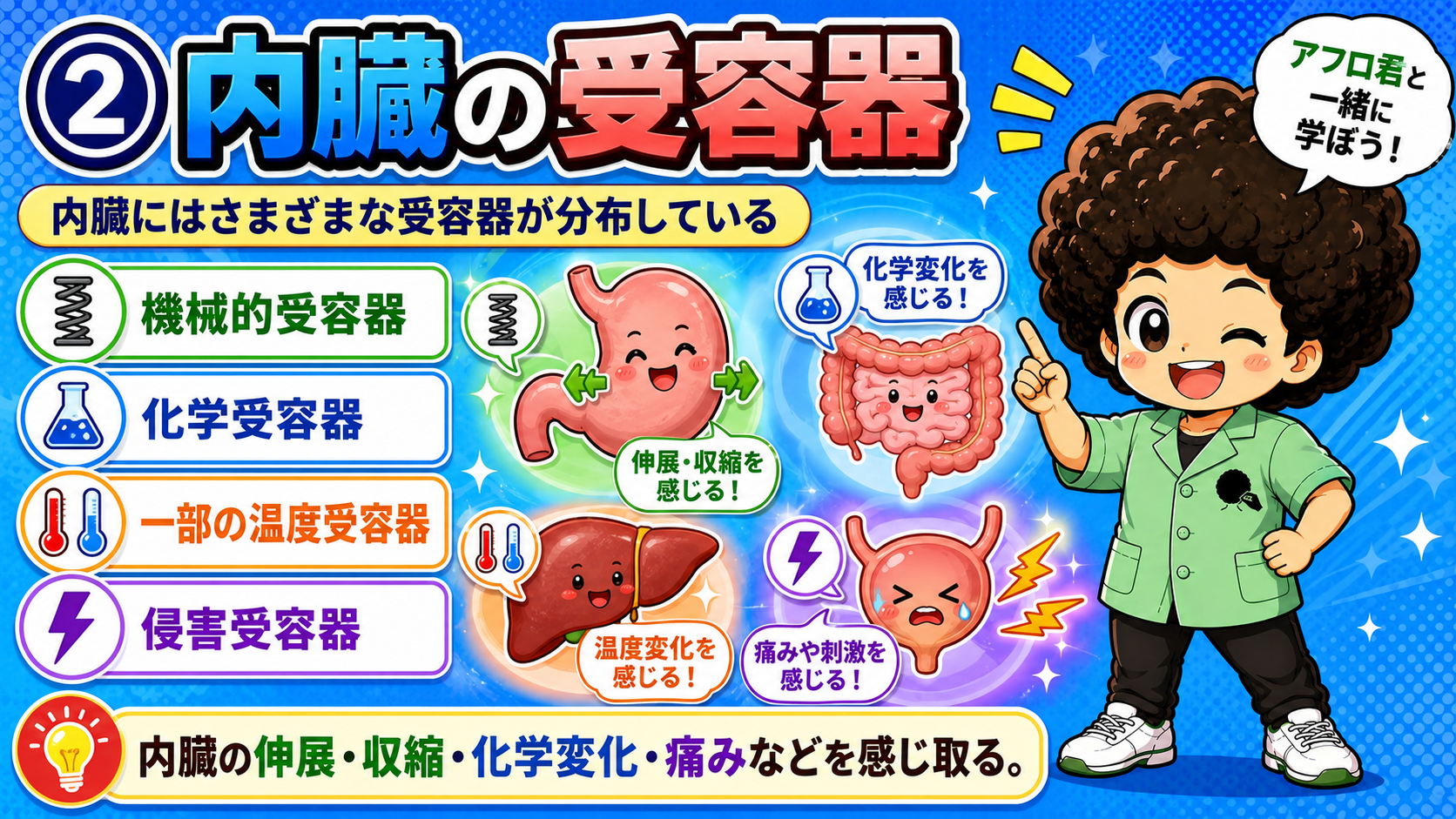 内臓に分布する4種類の受容器