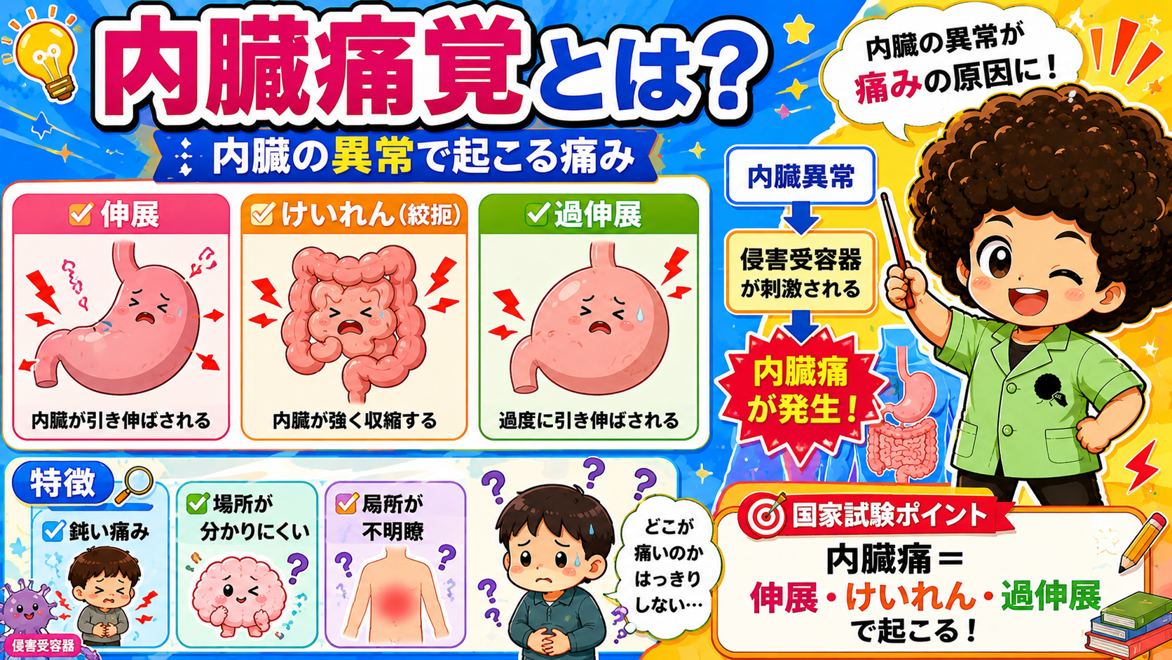 内臓痛は伸展・けいれん・過伸展で起こり、鈍く局所が不明瞭