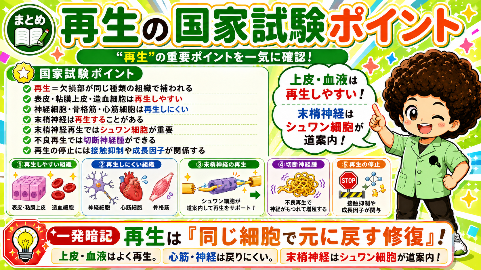 再生の国家試験ポイントまとめ