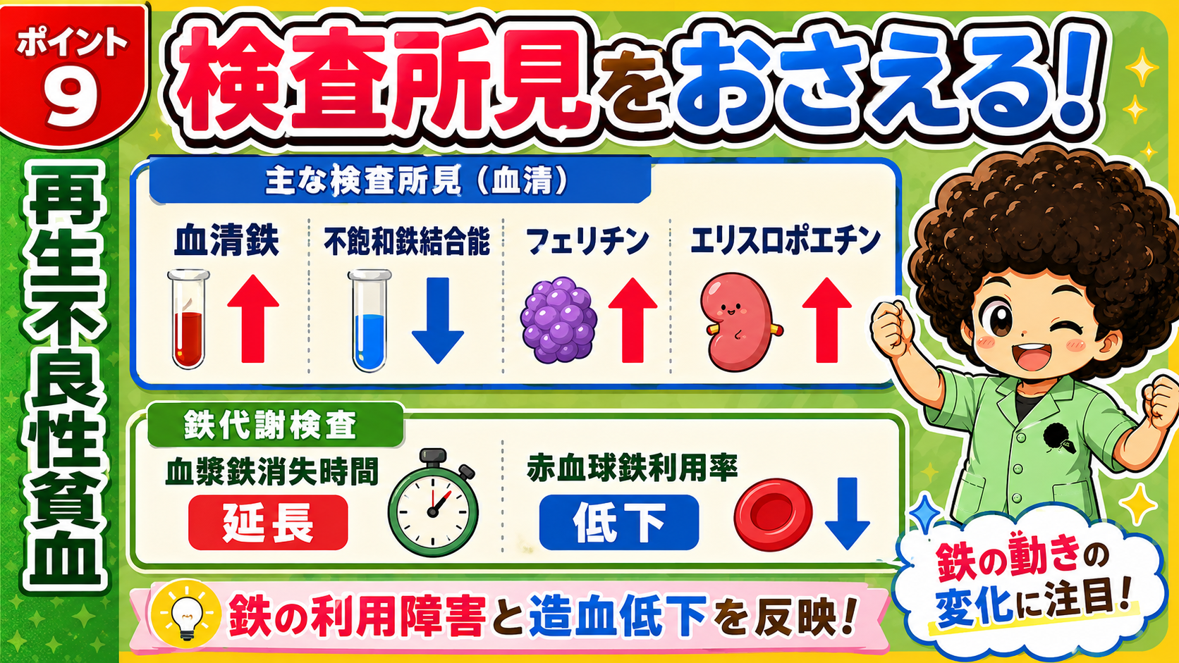 血清鉄↑・フェリチン↑・エリスロポエチン↑、不飽和鉄結合能↓など鉄代謝の変化