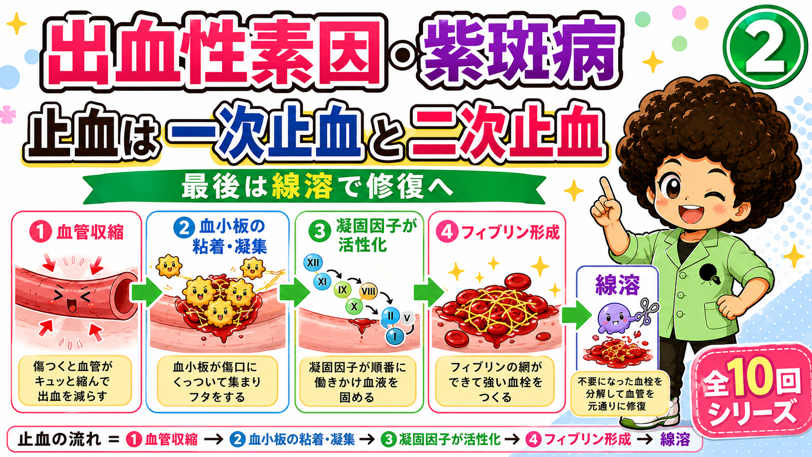 止血の流れ：血管収縮→血小板粘着・凝集→凝固因子活性化→フィブリン形成→線溶
