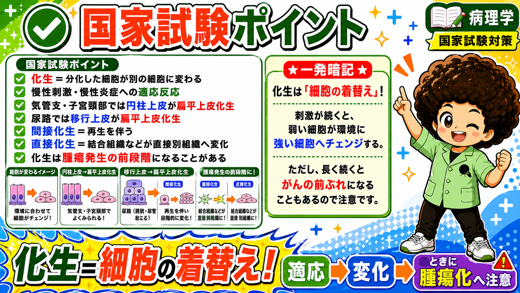 化生｜化生 1