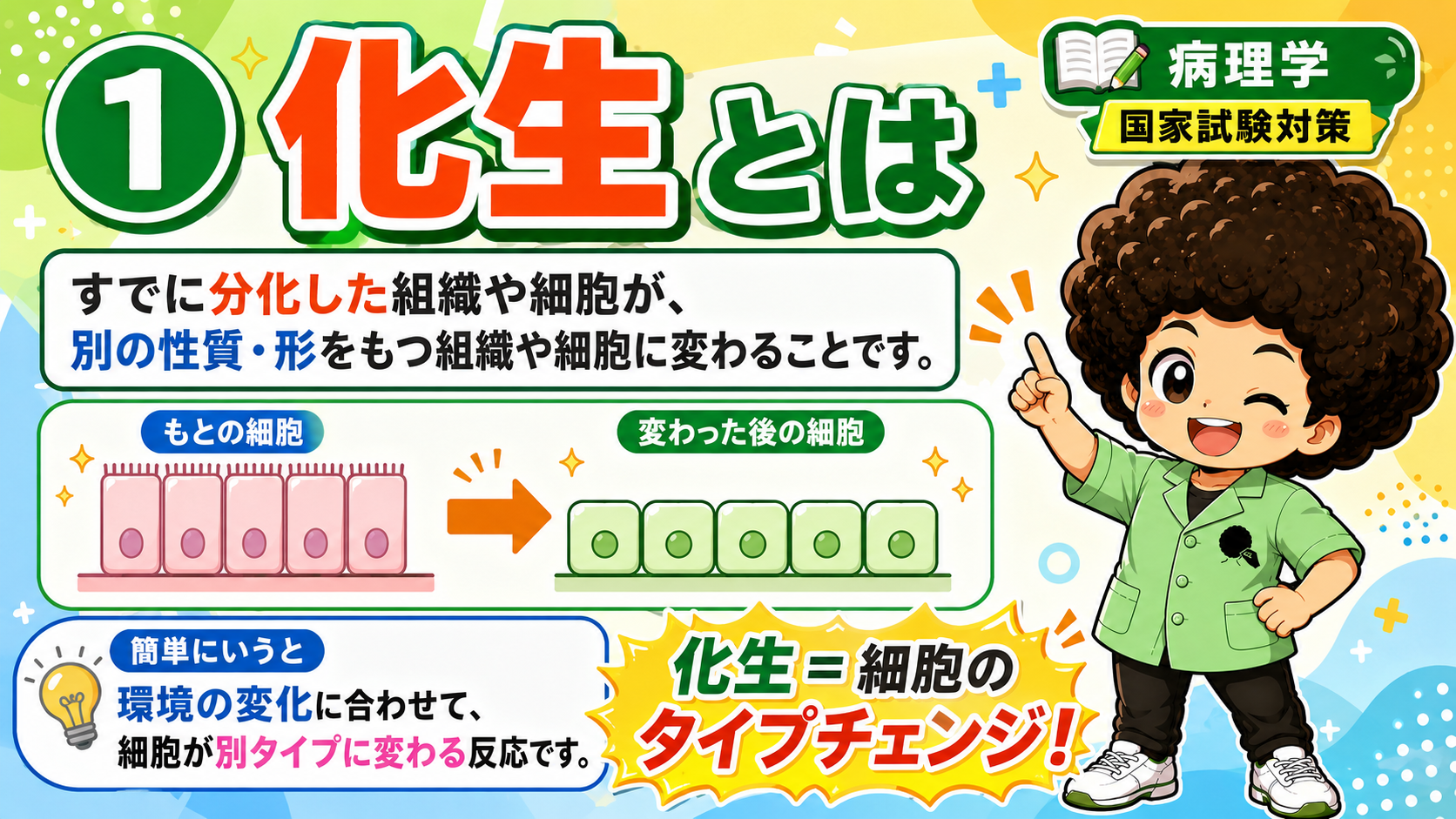 くり返される局所の刺激・炎症→細胞が環境に適応して変化（化生）