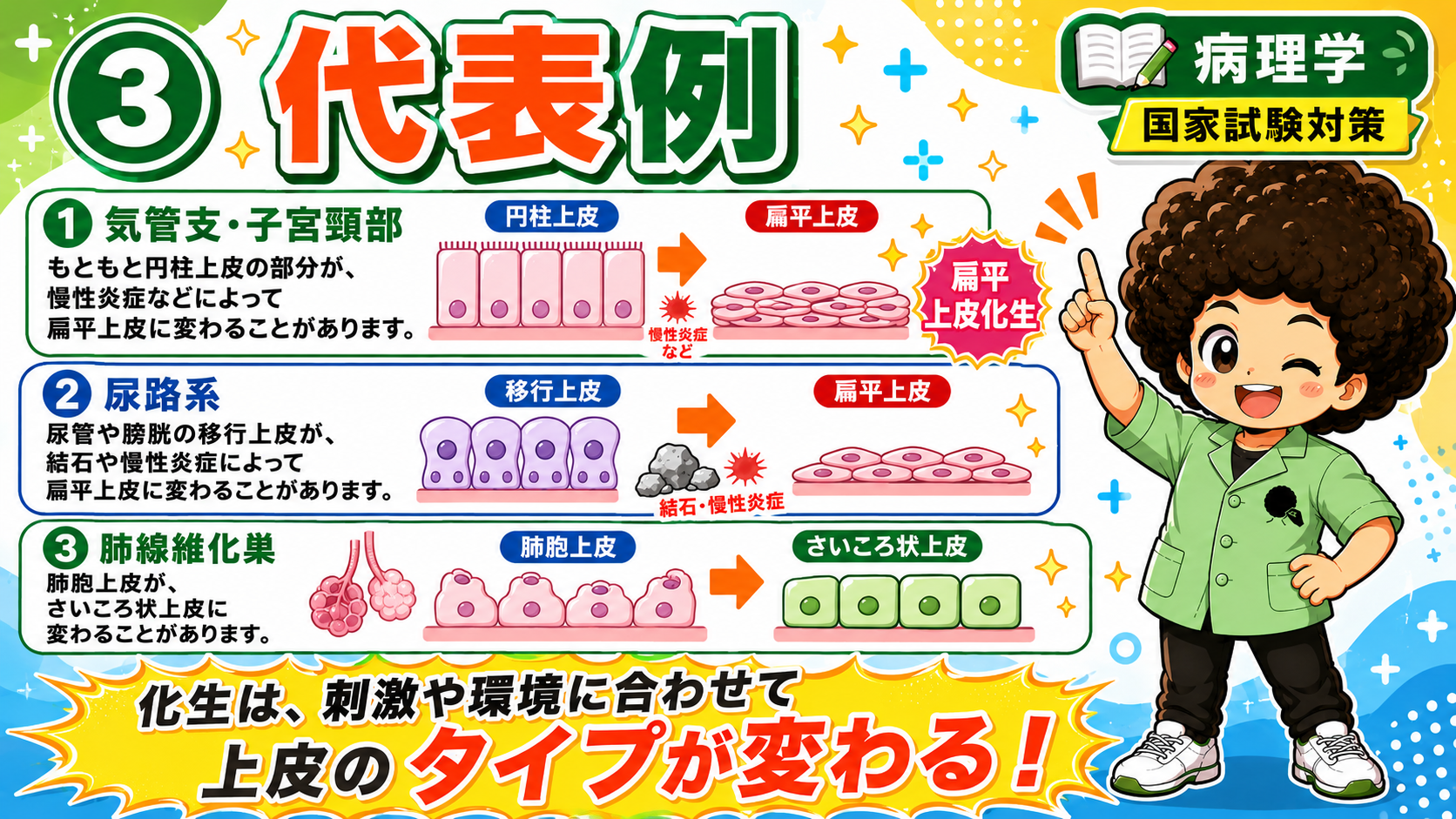 化生の分類は2つ：間接化生（再生を前提）と直接化生（再生をともなわず直接変化）