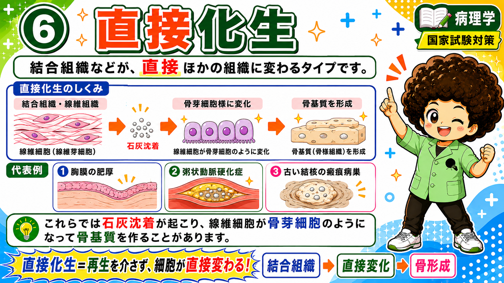 適応反応だけで終わらず、一部は腫瘍化の前段階になる