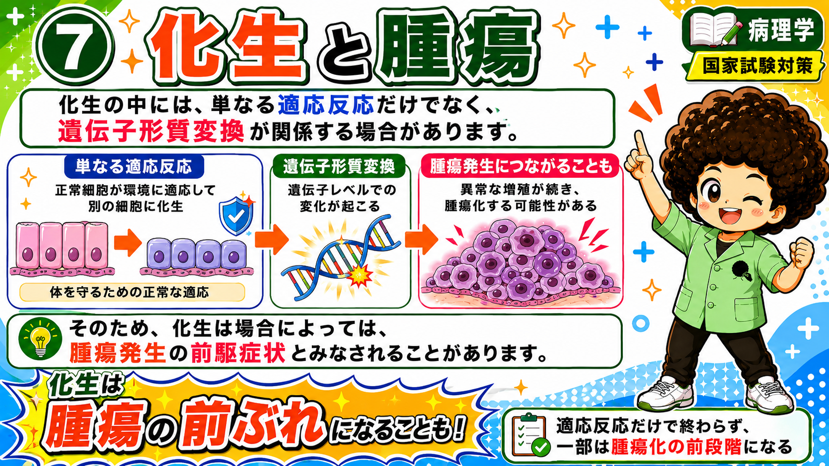 国家試験ポイント：化生＝細胞の着替え、適応→変化→ときに腫瘍化