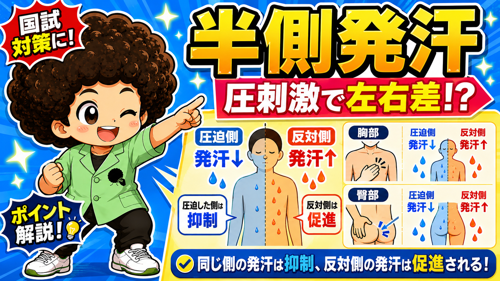 発汗と半側発汗｜発汗と半側発汗 1