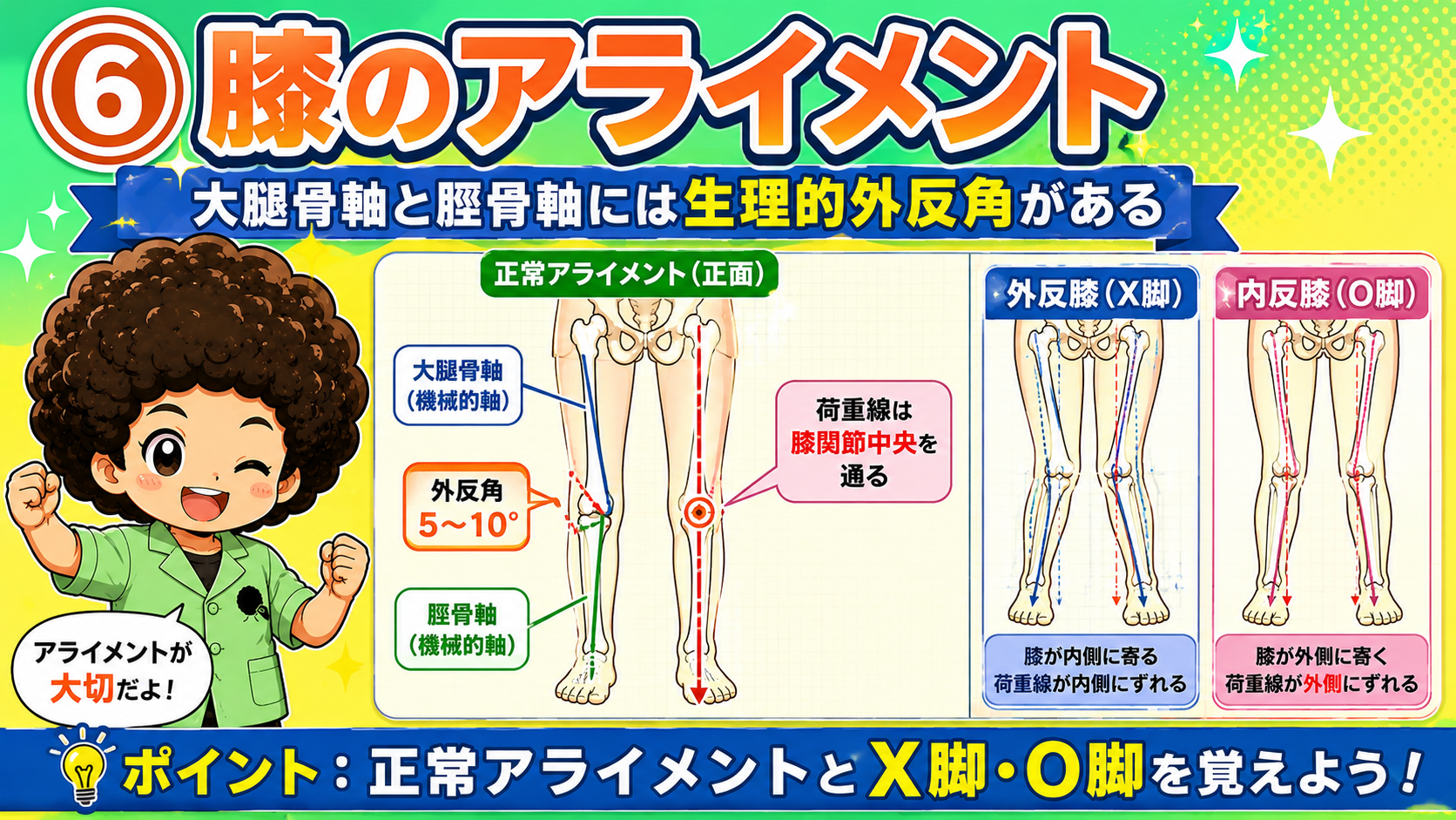 ⑥膝のアライメント － 生理的外反角5〜10度と荷重線