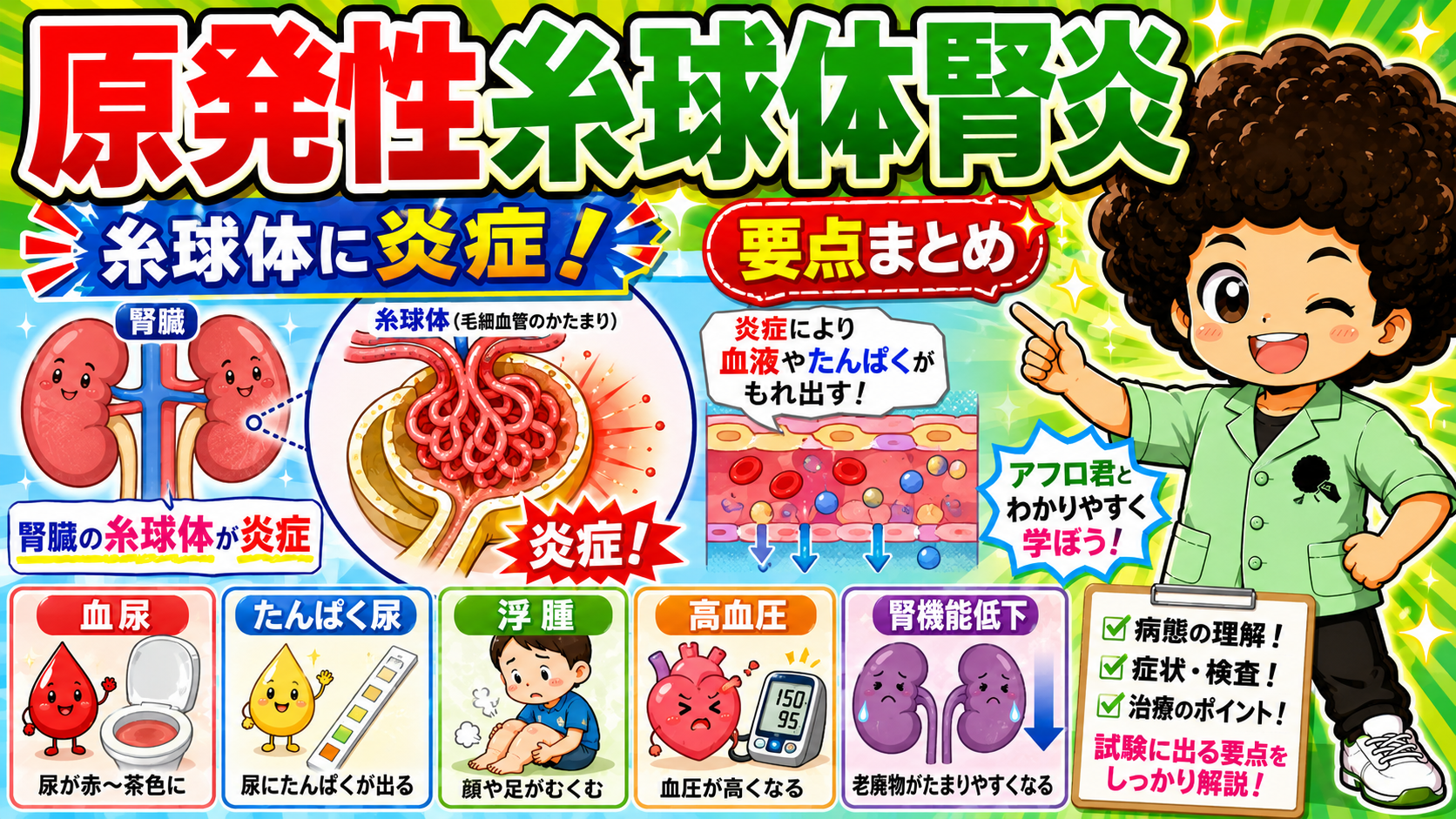 原発性糸球体腎炎｜原発性糸球体腎炎 1