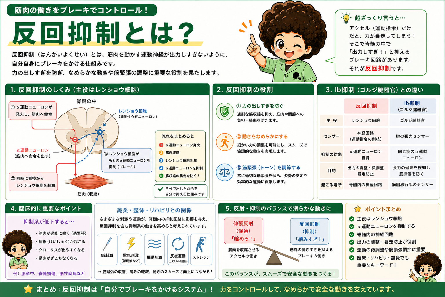 反回抑制はレンショウ細胞による「自分でブレーキ」。伸張反射（促通）とのバランスが滑らかな動きを作る