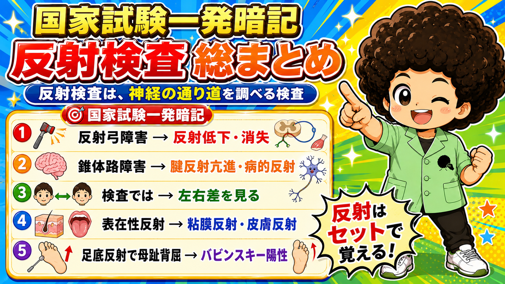 表在性反射・深部反射（腱反射）・自律神経反射の3種類