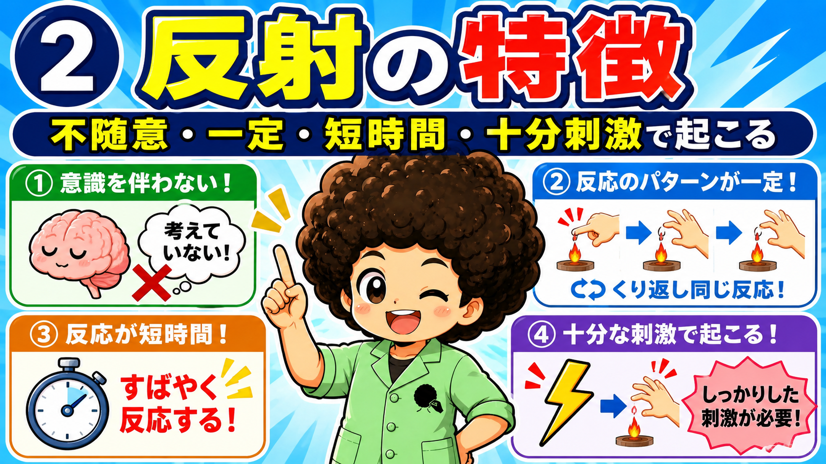 反射の4つの特徴（不随意・一定・短時間・十分な刺激）
