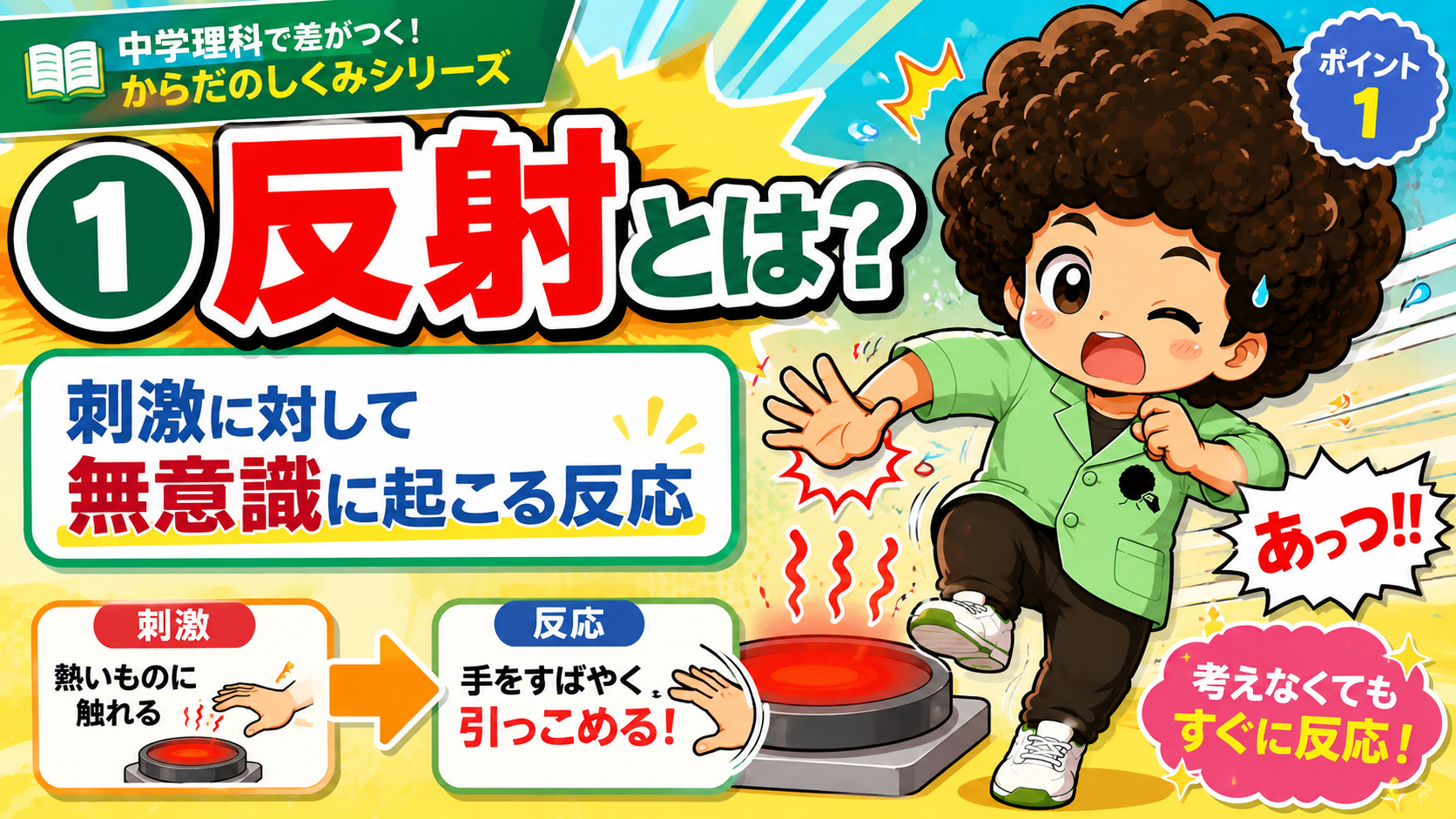 反射のしくみ（反射弓・脊髄反射・姿勢反射）｜反射のしくみ（反射弓・脊髄反射・姿勢反射） 1
