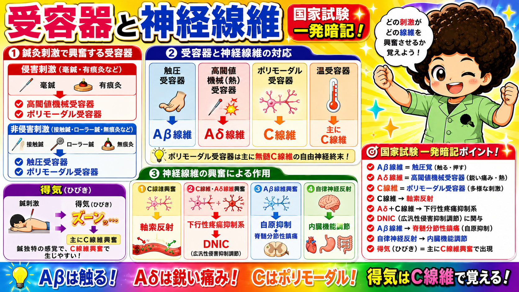 受容器と神経線維の対応表と得気（ひびき）。得気は主にC線維興奮で生じる