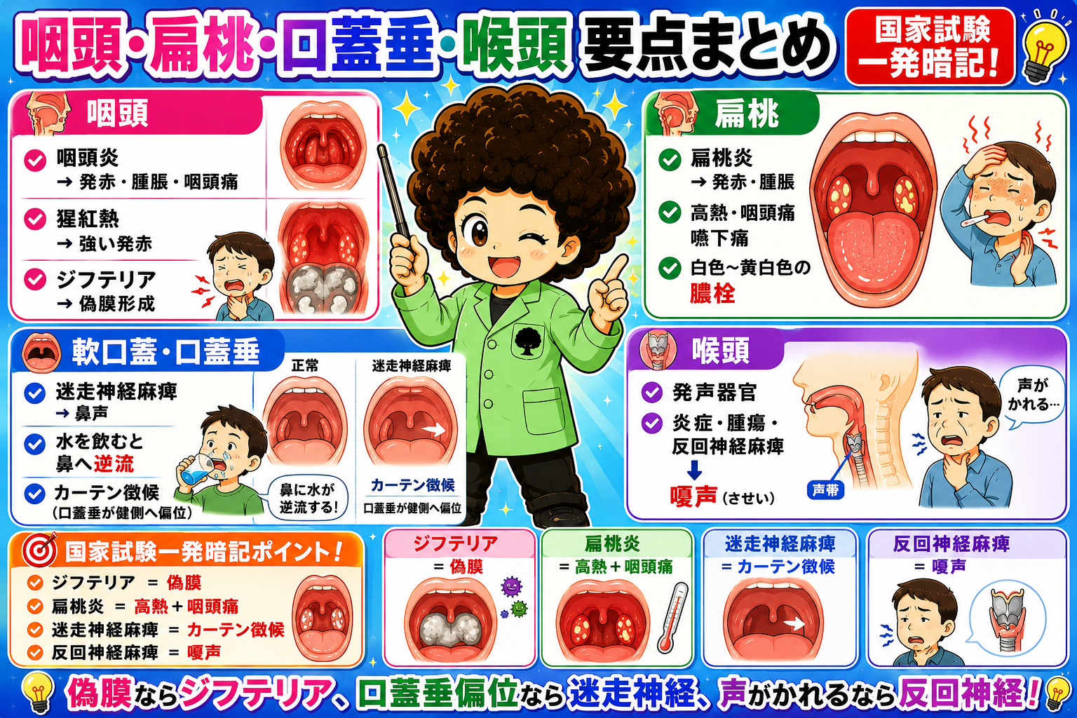咽頭・扁桃・軟口蓋／口蓋垂・喉頭の所見と疾患の対応表