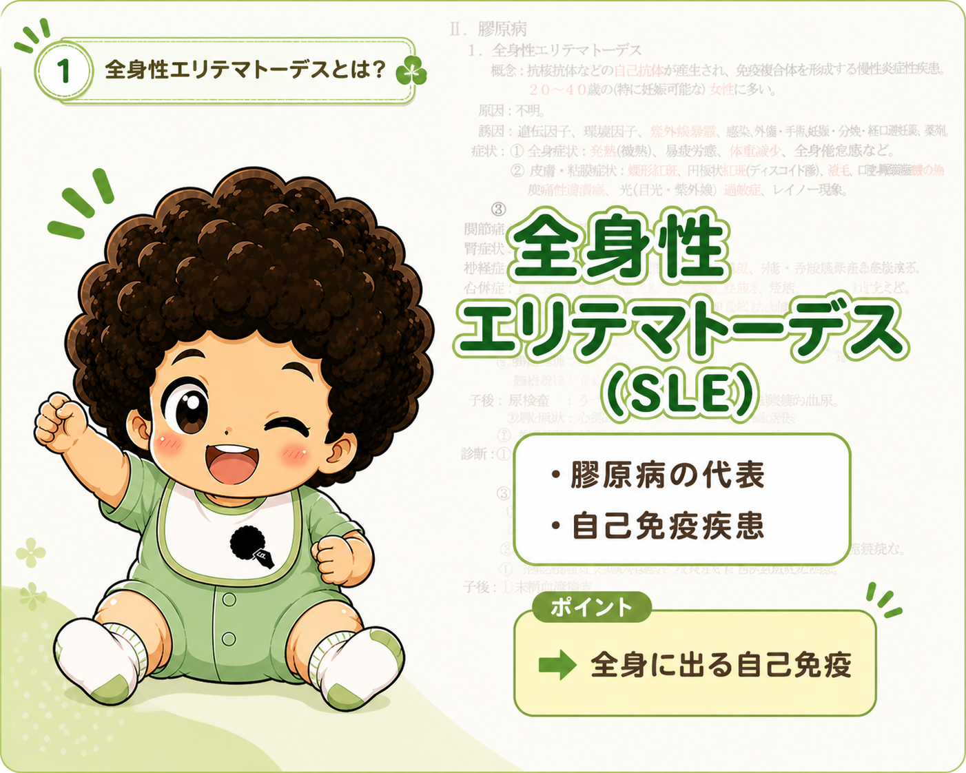 全身性エリテマトーデス（SLE）｜全身性エリテマトーデス（SLE） 1