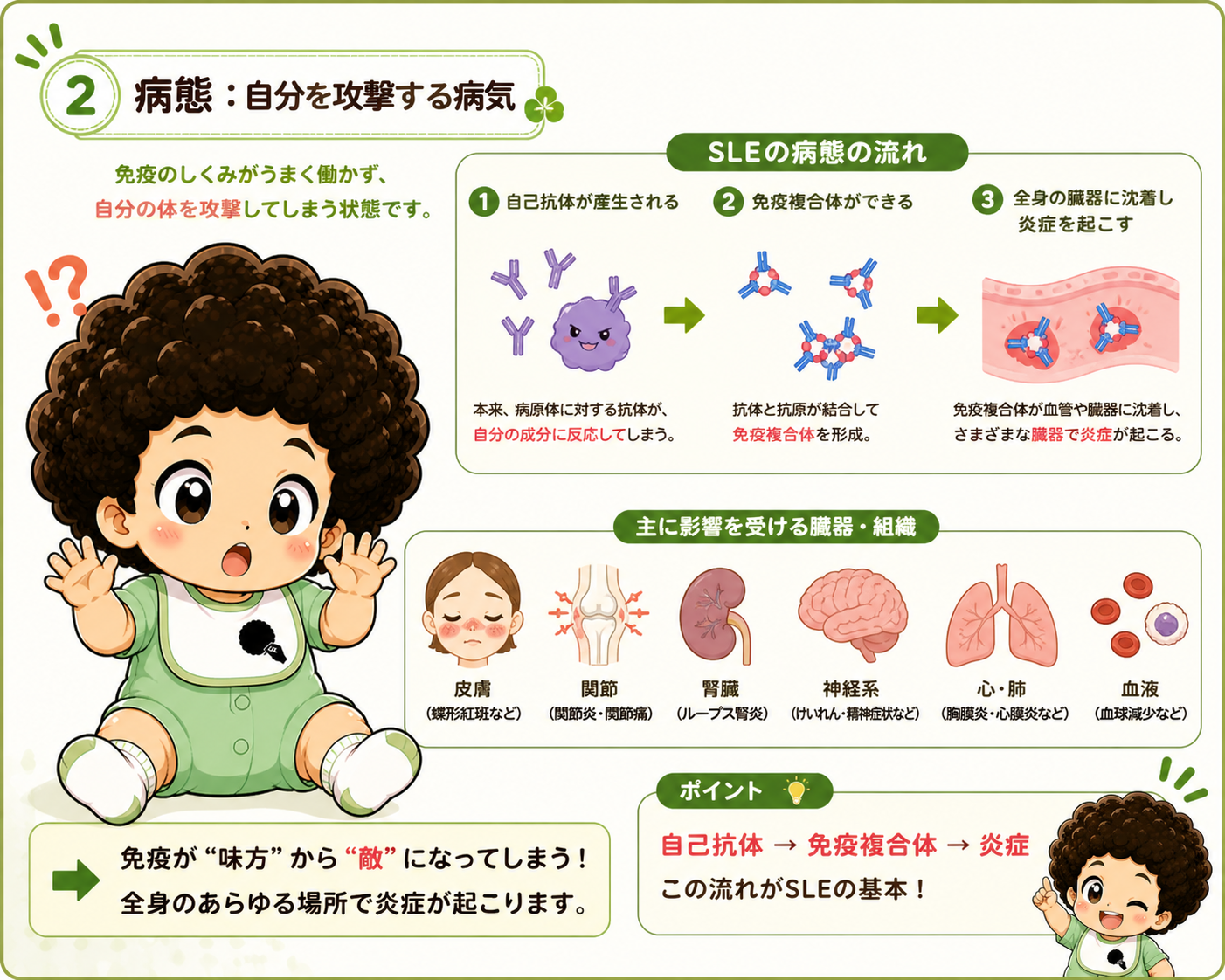 自己抗体→免疫複合体→炎症。全身の臓器に沈着して炎症が起こる