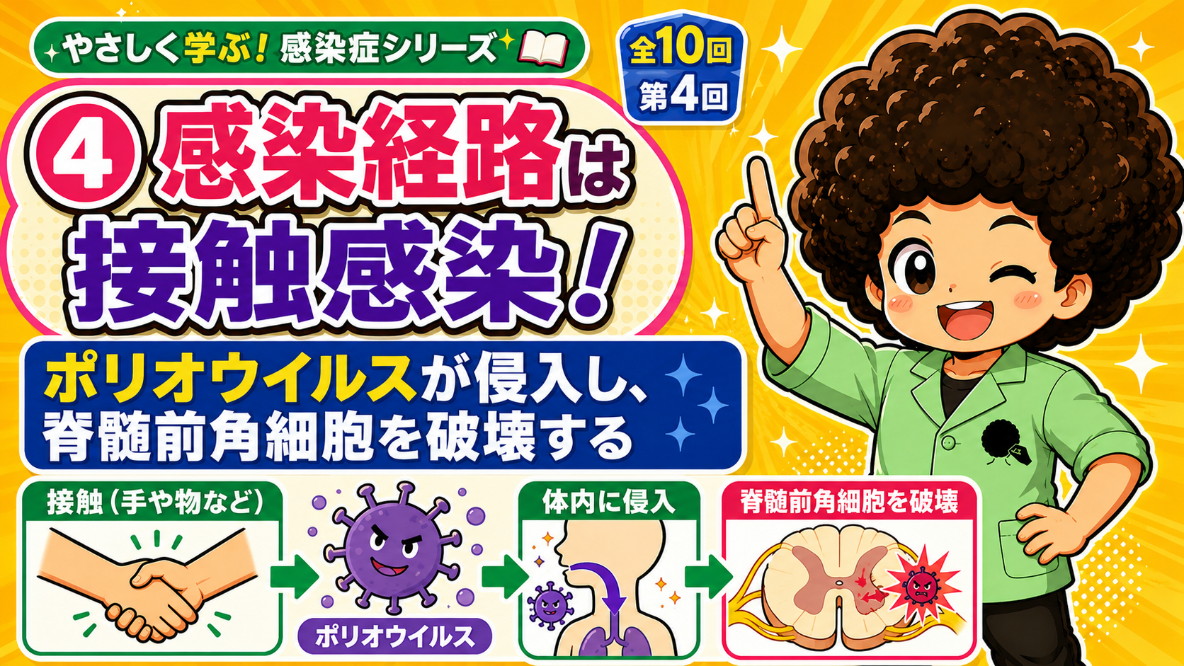 接触感染→体内侵入→脊髄前角細胞の破壊という流れ