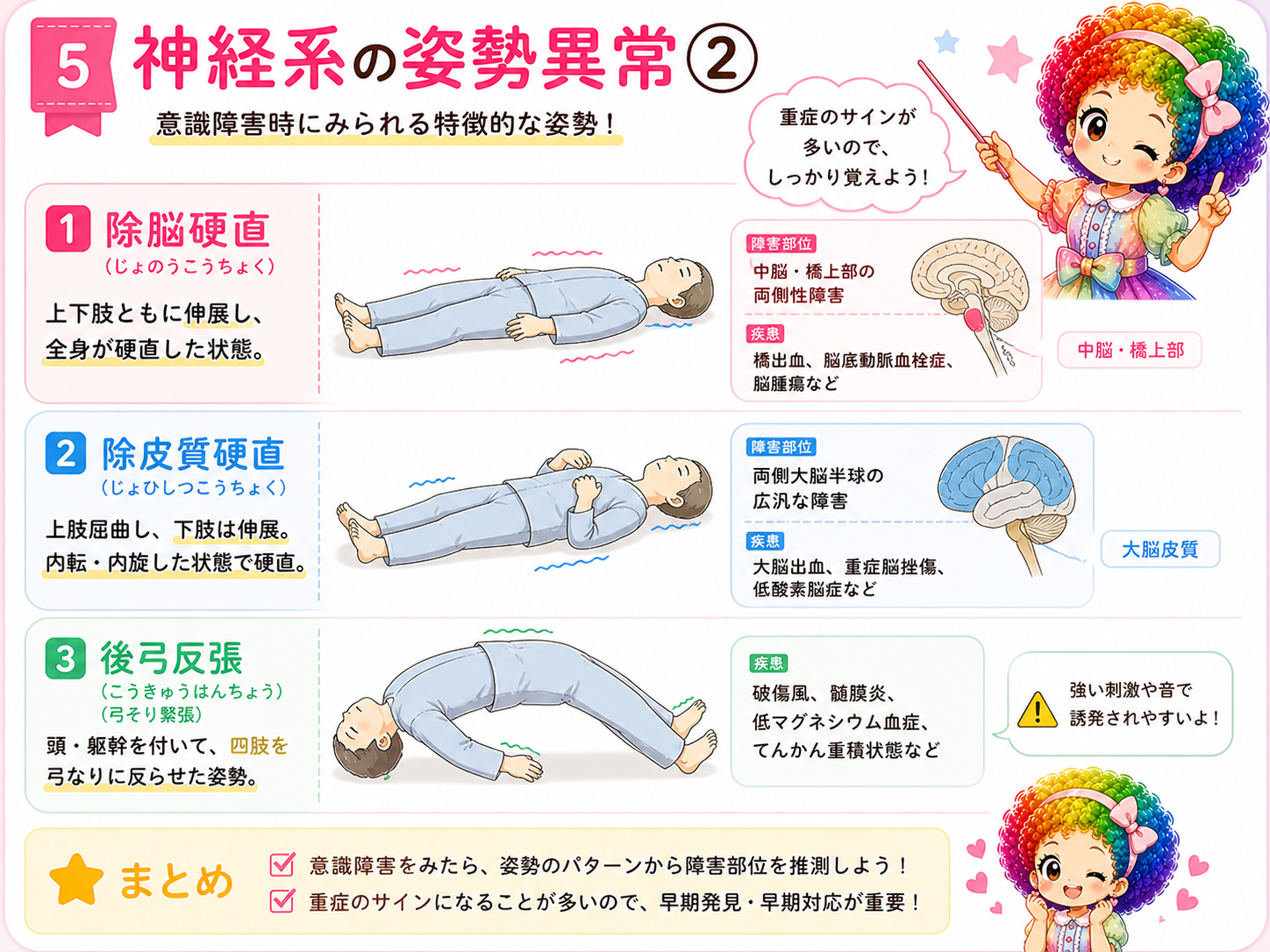 神経系の姿勢異常②：除脳硬直・除皮質硬直・後弓反張