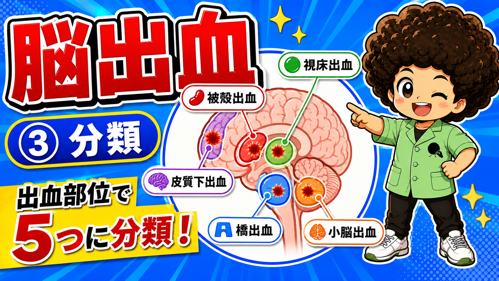 出血部位で被殻・視床・皮質下・橋・小脳の5つに分類