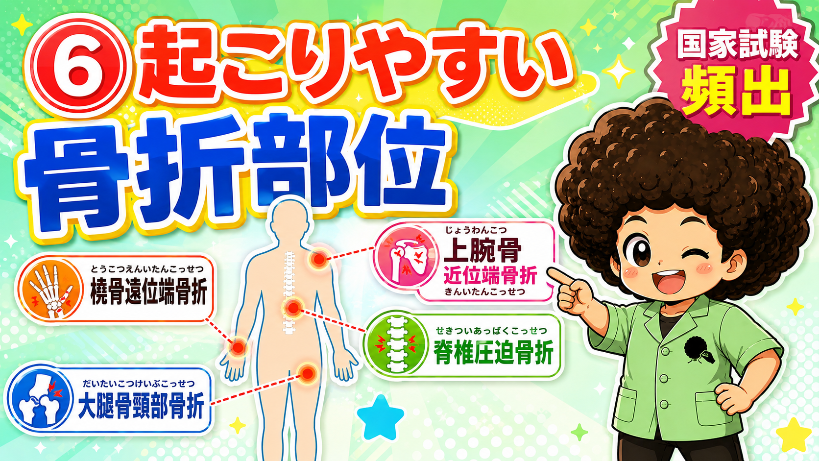 骨粗鬆症で起こりやすい4つの骨折部位（国家試験頻出）