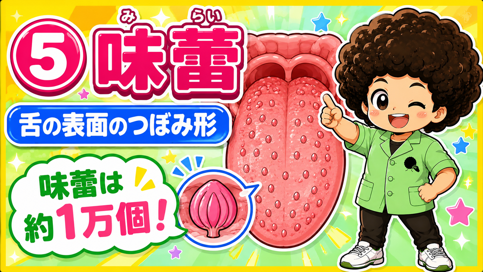 味覚と嗅覚｜味覚と嗅覚 1
