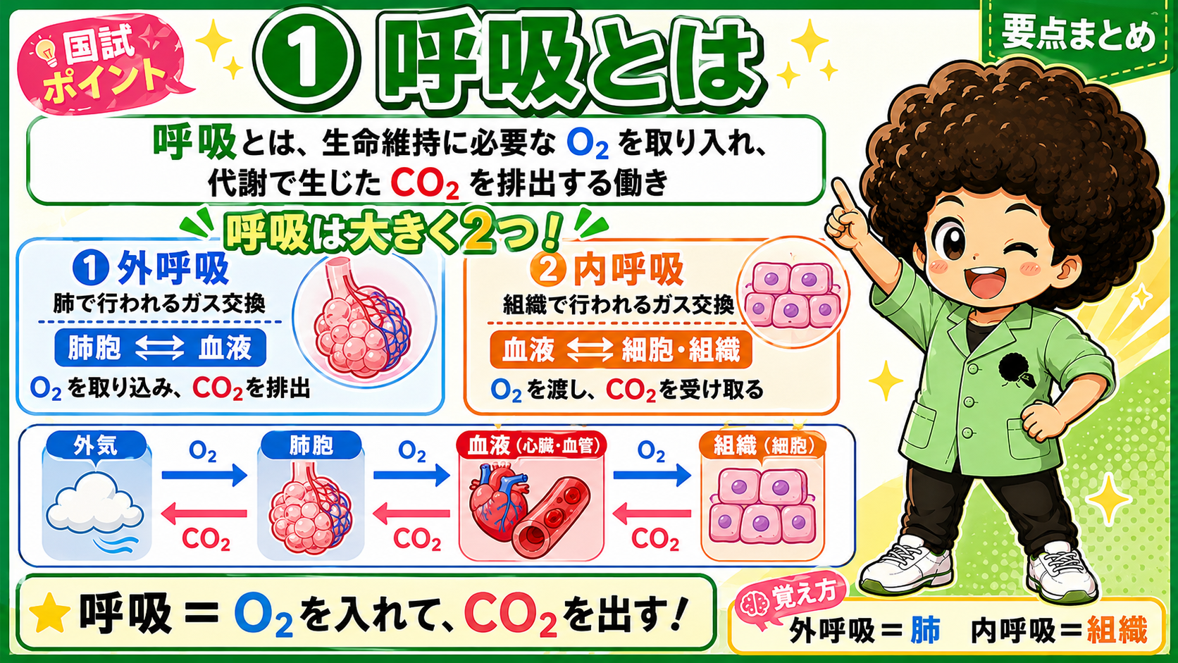 呼吸とは｜呼吸とは 1