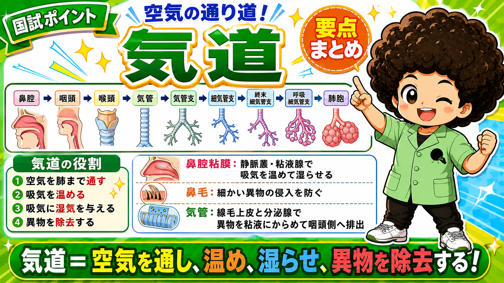 気道＝空気を通し、温め、湿らせ、異物を除去する